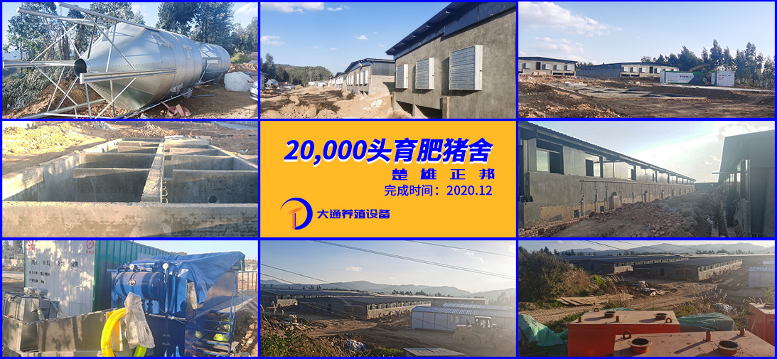 楚雄正邦2w頭預(yù)防豬場(chǎng)